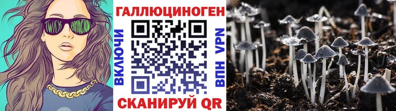 Галлюциногенные грибы Psilocybe  Мещовск 